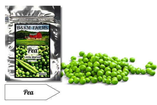 Peas Little Marvel: Sweet Gems from Your Backyard Oasis