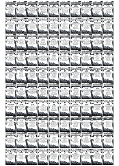 BEST VALUE: 100,000 Vegetable Seed Vault. 100 Seed Packets