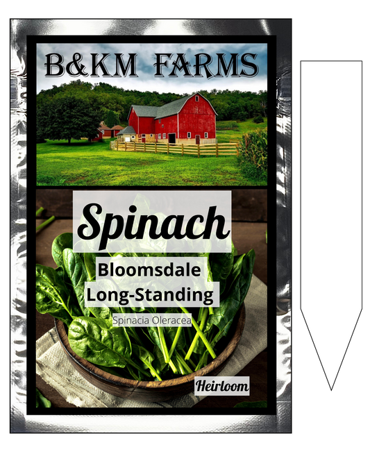 Spinach Bloomsdale Long Standing: Your Garden's Emerald Powerhouse