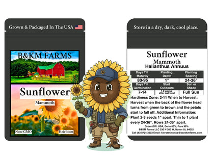 Build Your Own Kids’ "Special Ops" Themed Vegetable Garden (50 Varieties)
