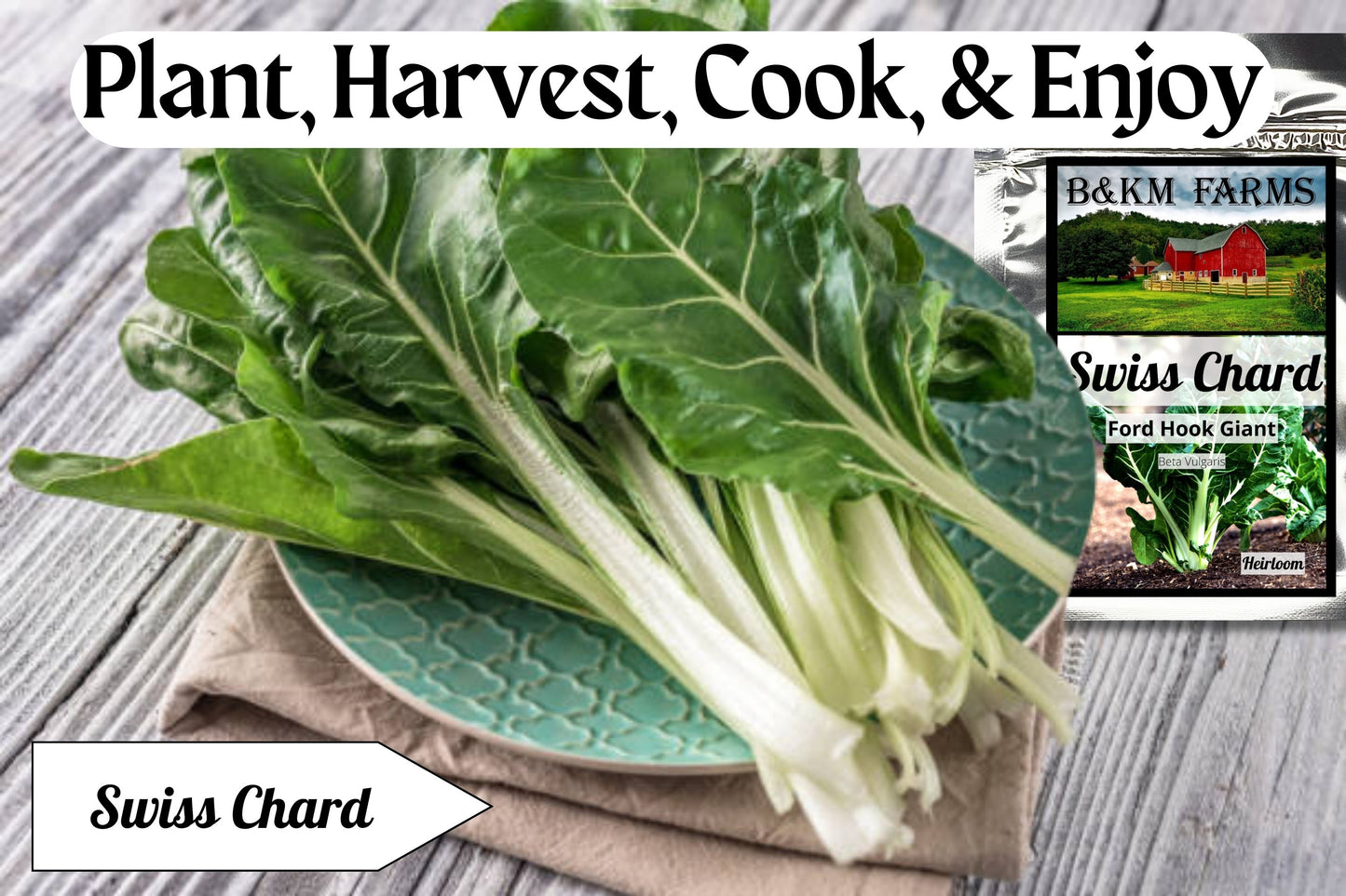 Giant Fordhook Swiss Chard: Emerald Stalks with Silver Sheen, Ready to Elevate Your Garden