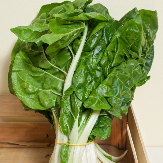 Giant Fordhook Swiss Chard