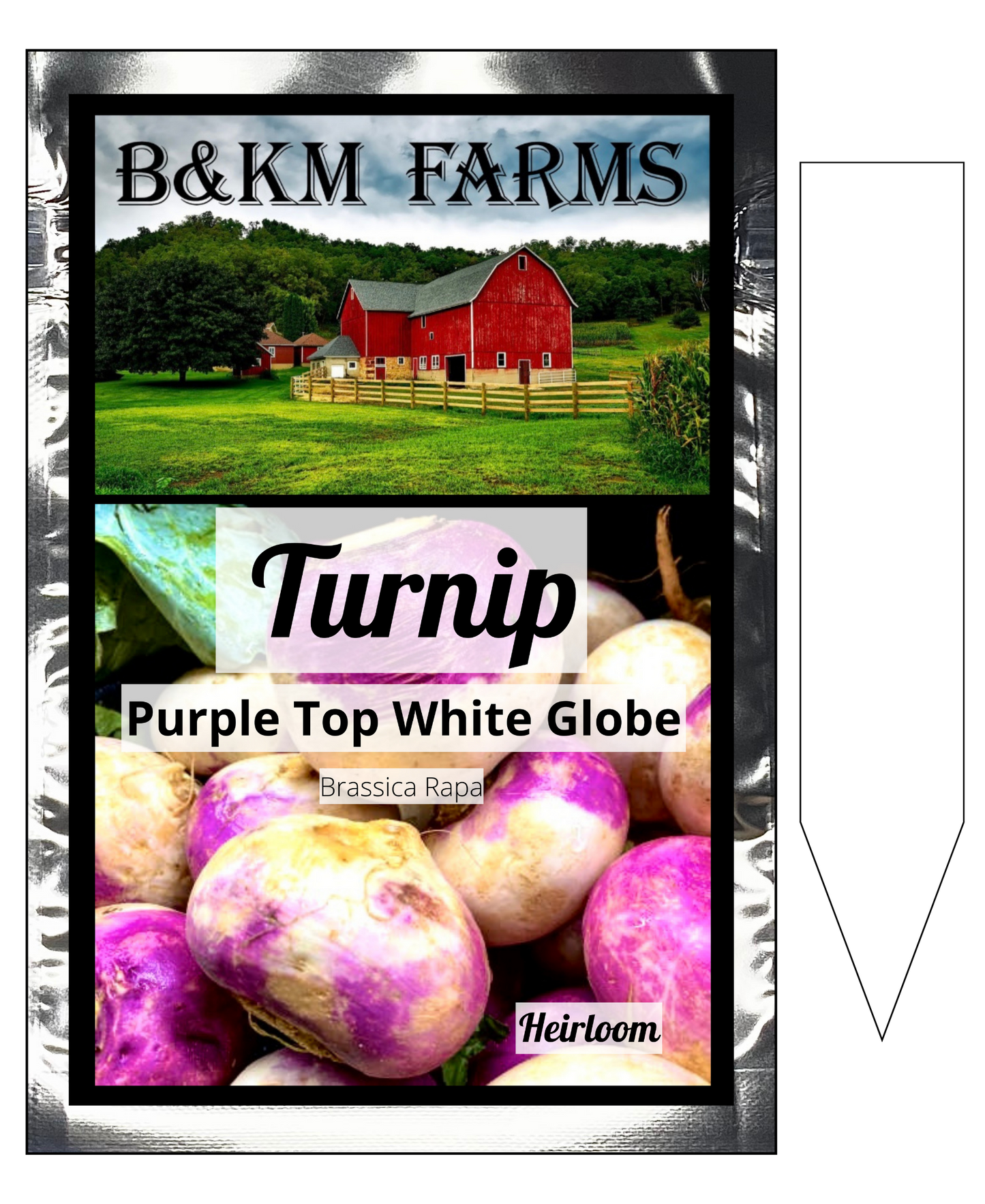 Purple Top White Globe: A Turnip Tale of Two Colors