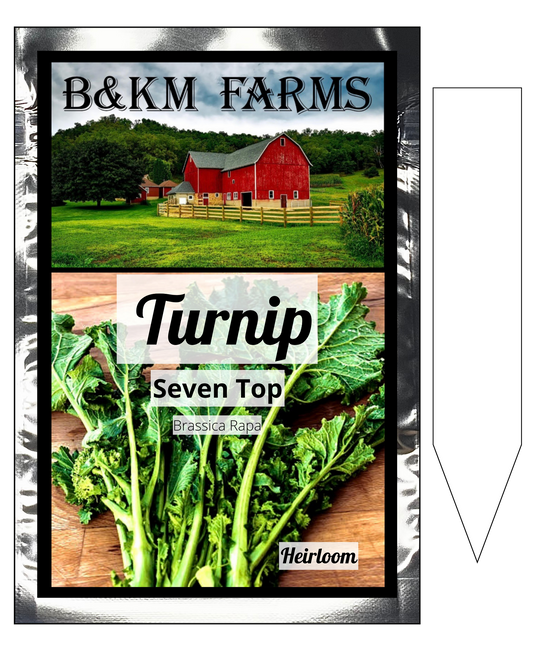 The Seven Top Turnip: Leafy Legacy, Modern Delight