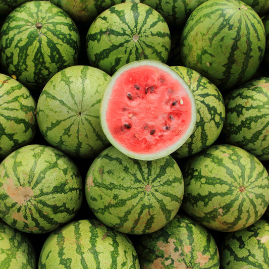 Crimson Sweet Watermelon