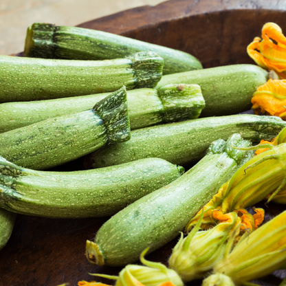 Zucchini Black Beauty