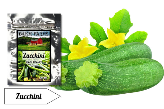 Zucchini Black Beauty: Embrace the Mystery, Unleash the Sweetness